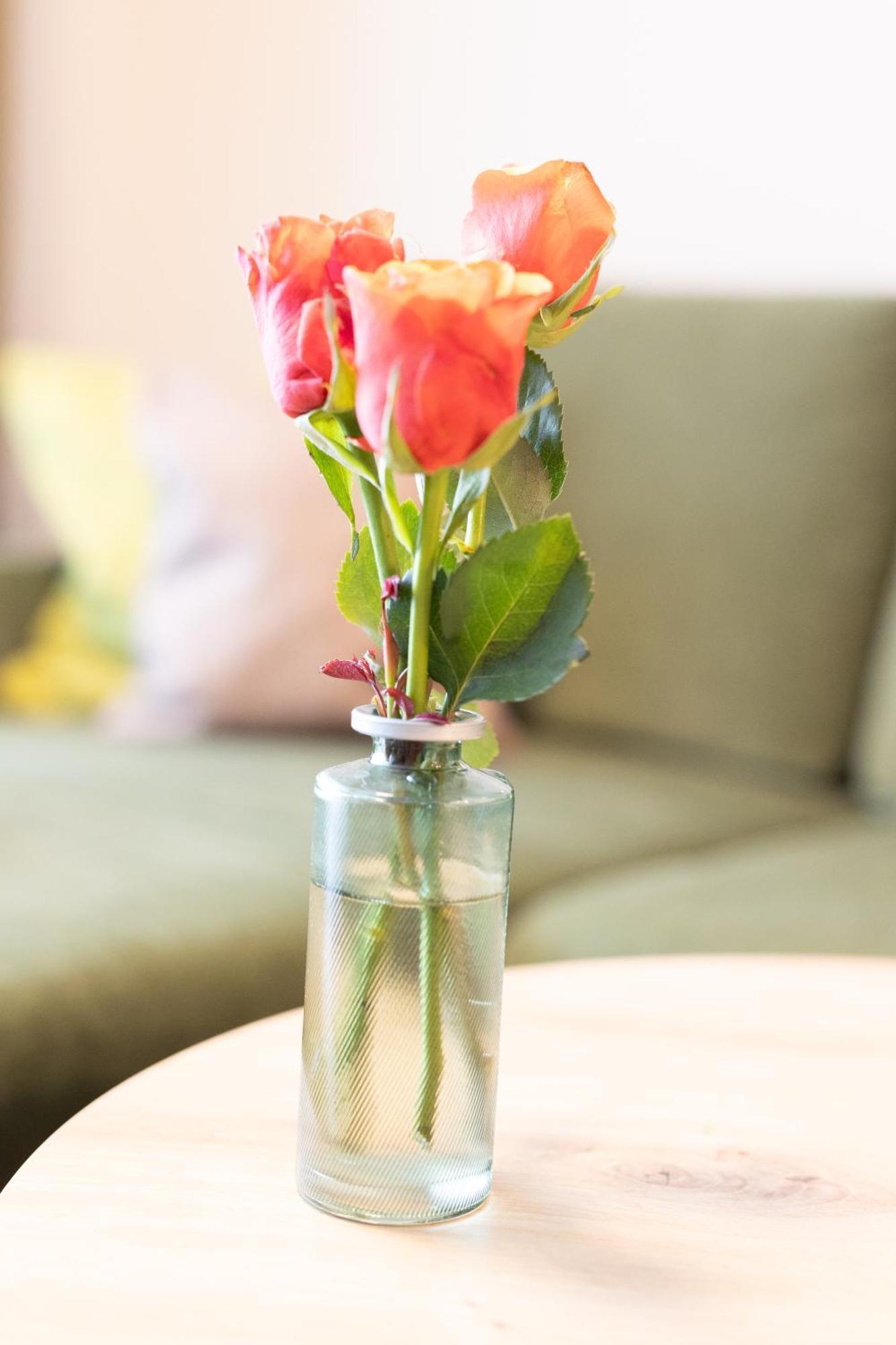 Appartementdeluxe Steiert - Near Europa Park - Rulantica - Spacious - Fully Equipped Kitchen - Private Garden - Free Parking - Pet Friendly شواناو المظهر الخارجي الصورة